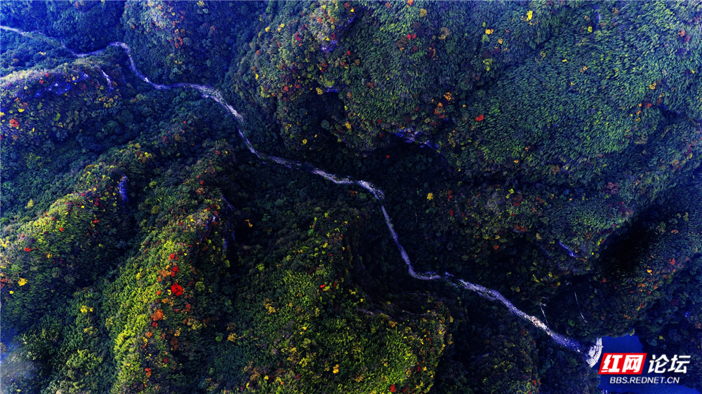 015《仙人谷之秋》11月5日，中方县泸阳镇桥上村仙人谷 周日忠摄.jpg