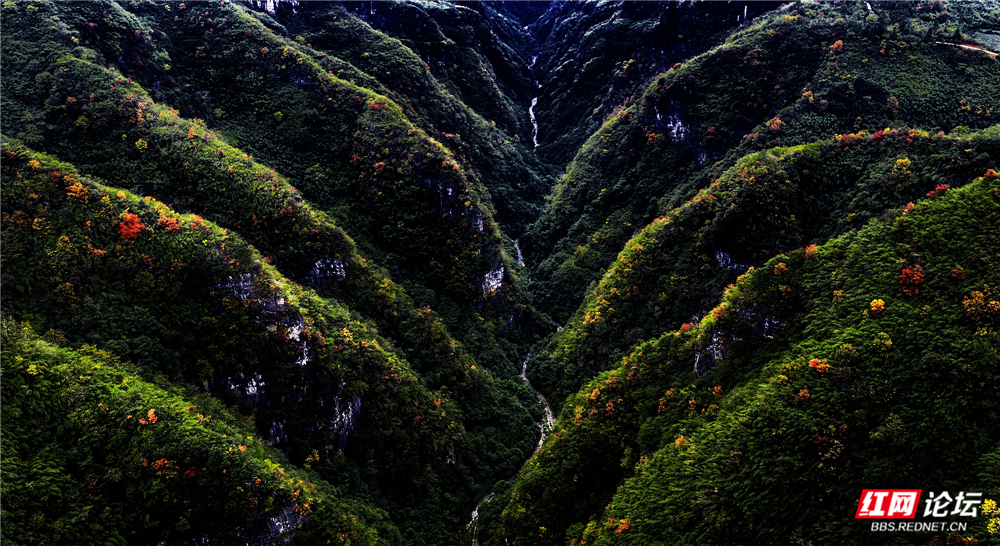 019《仙人谷之秋》11月5日，中方县泸阳镇桥上村仙人谷 周日忠摄.jpg