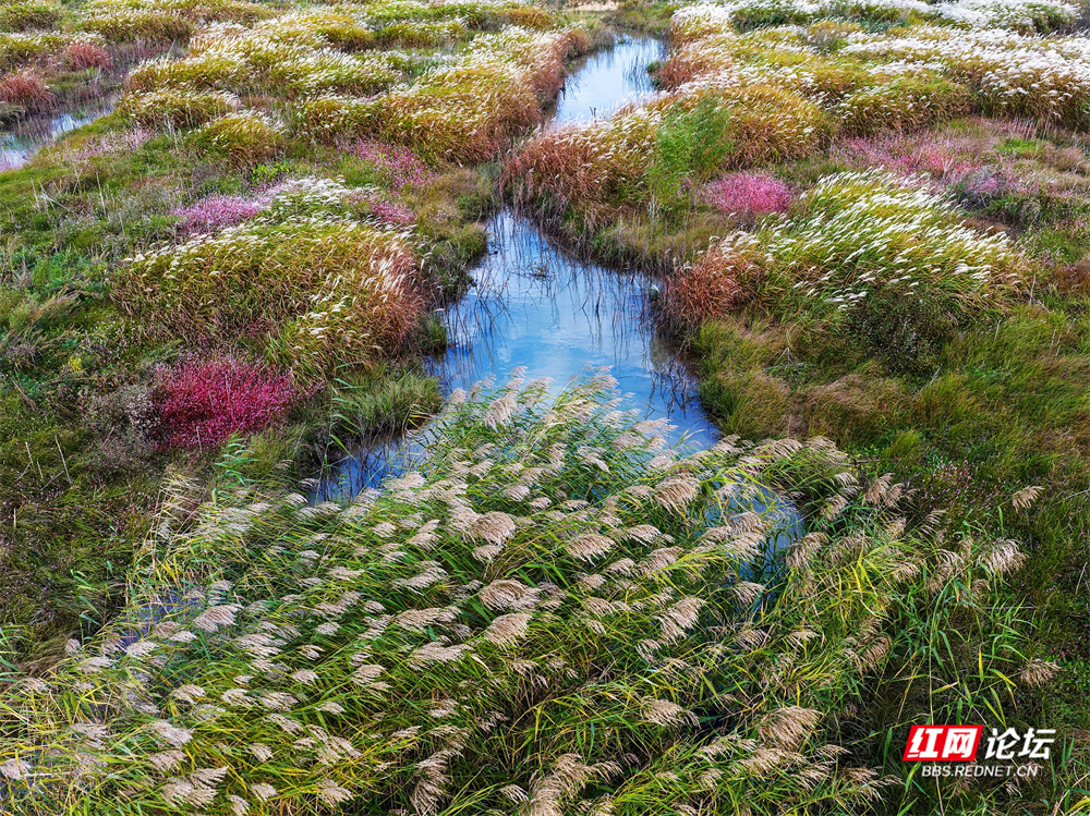 nEO_IMG_微信图片_20251113222104_27_2365.jpg nEO_IMG_微信图片_20251113222104_27_2365.jpg