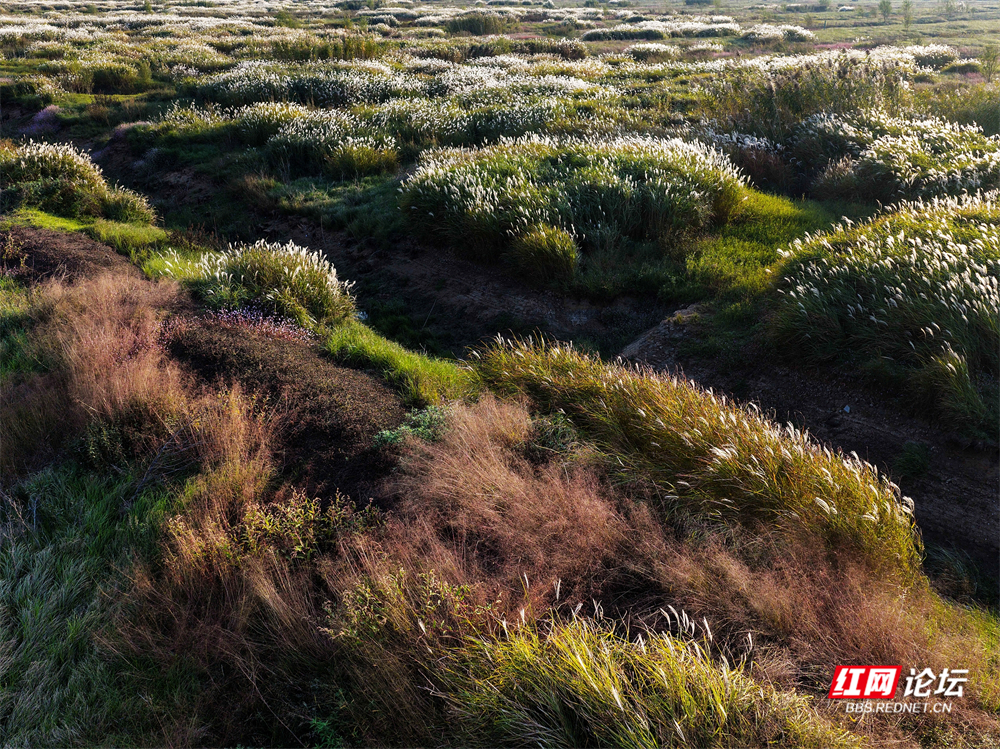 nEO_IMG_微信图片_20251113222058_24_2365.jpg nEO_IMG_微信图片_20251113222058_24_2365.jpg