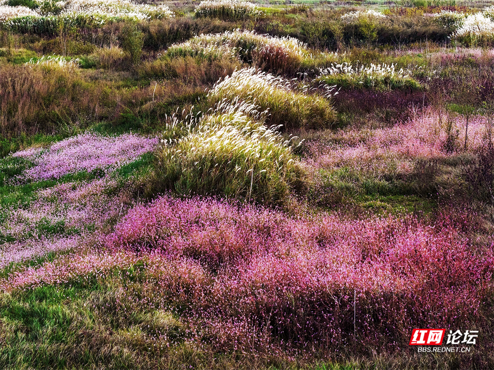 nEO_IMG_微信图片_20251113222109_28_2365.jpg nEO_IMG_微信图片_20251113222109_28_2365.jpg