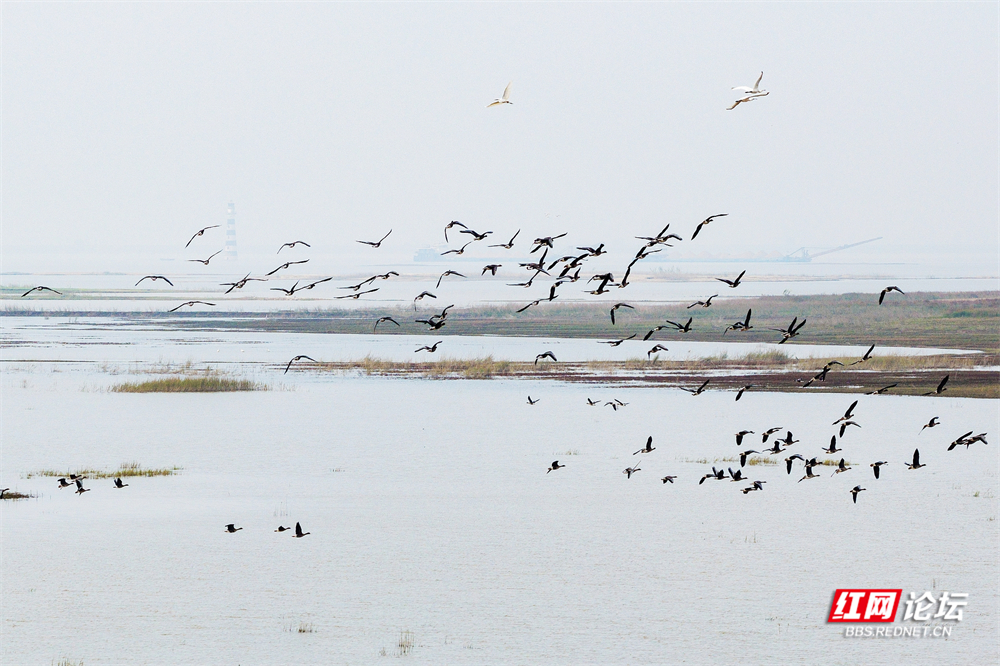 nEO_IMG_微信图片_20251113222036_17_2365.jpg nEO_IMG_微信图片_20251113222036_17_2365.jpg