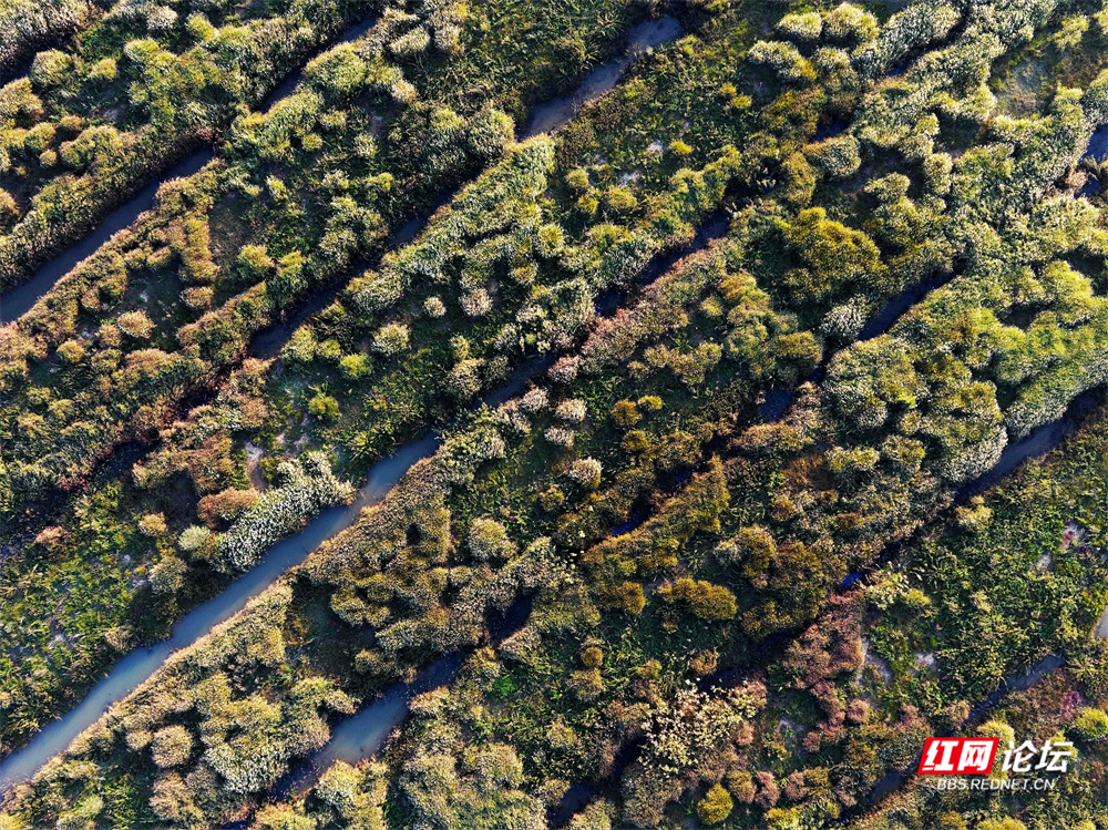 nEO_IMG_微信图片_20251113222053_21_2365.jpg nEO_IMG_微信图片_20251113222053_21_2365.jpg