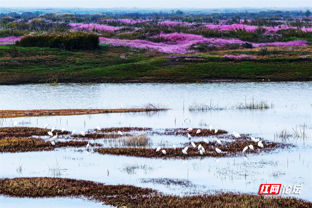 nEO_IMG_微信图片_20251113222051_20_2365.jpg nEO_IMG_微信图片_20251113222051_20_2365.jpg