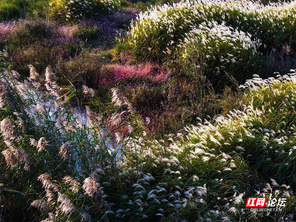 nEO_IMG_微信图片_20251113222056_23_2365.jpg nEO_IMG_微信图片_20251113222056_23_2365.jpg