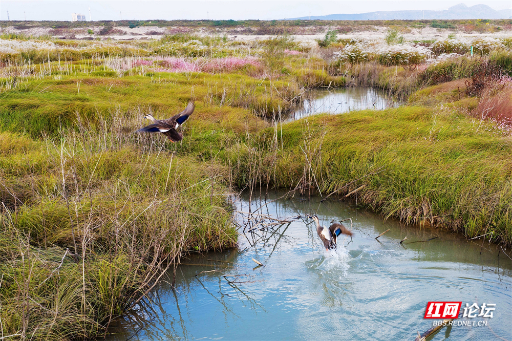 nEO_IMG_微信图片_20251113222112_30_2365.jpg nEO_IMG_微信图片_20251113222112_30_2365.jpg