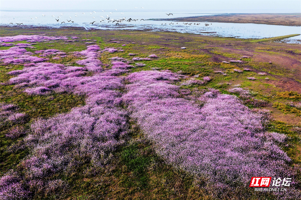 nEO_IMG_微信图片_20251113222042_18_2365.jpg nEO_IMG_微信图片_20251113222042_18_2365.jpg