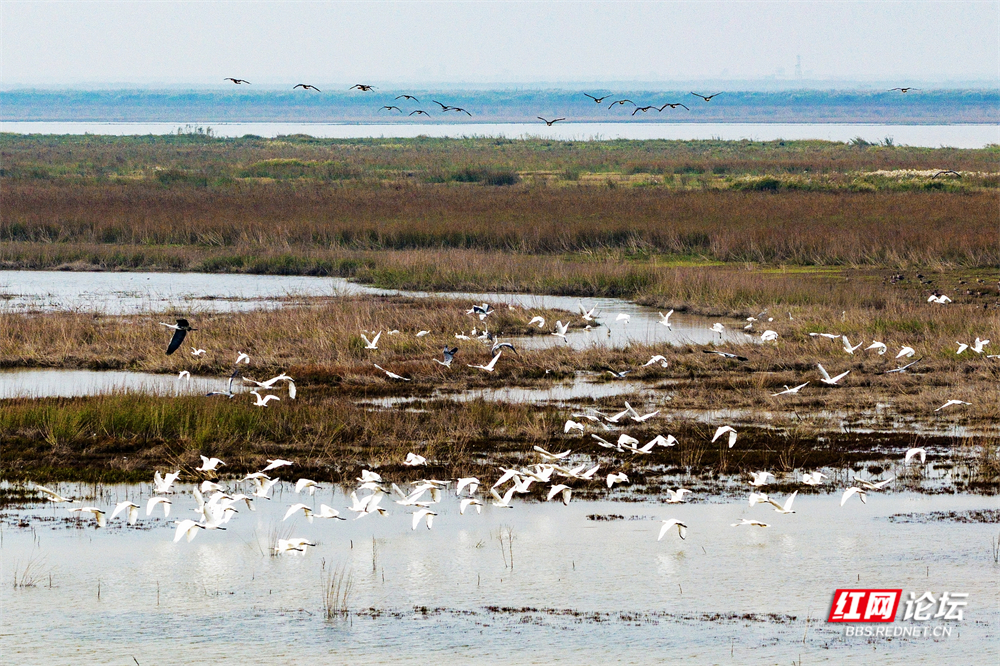 nEO_IMG_微信图片_20251113222033_16_2365.jpg nEO_IMG_微信图片_20251113222033_16_2365.jpg