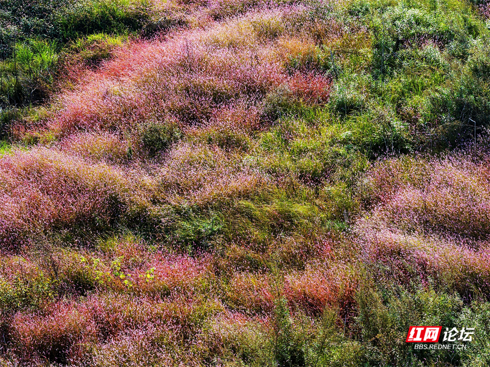 nEO_IMG_微信图片_20251113222111_29_2365.jpg nEO_IMG_微信图片_20251113222111_29_2365.jpg