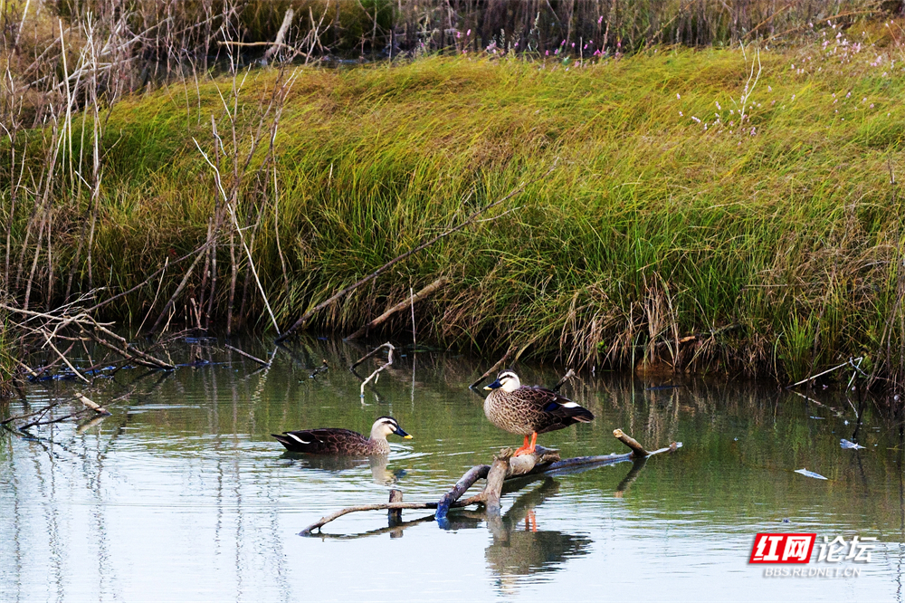 nEO_IMG_微信图片_20251113222116_32_2365.jpg nEO_IMG_微信图片_20251113222116_32_2365.jpg