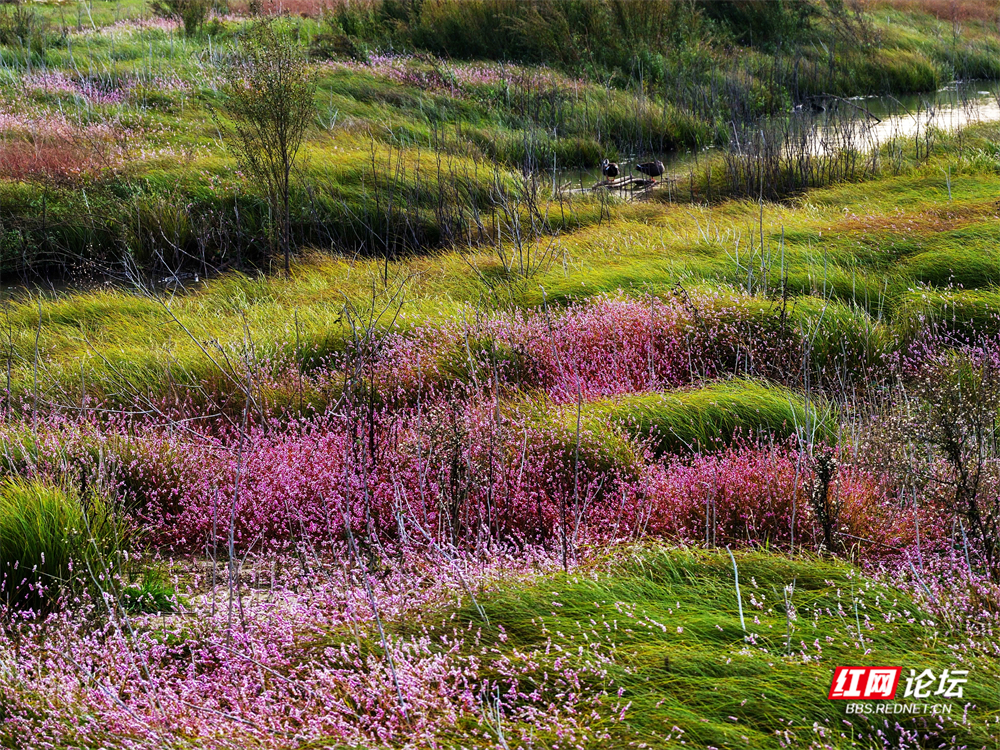 nEO_IMG_微信图片_20251113222101_25_2365.jpg nEO_IMG_微信图片_20251113222101_25_2365.jpg