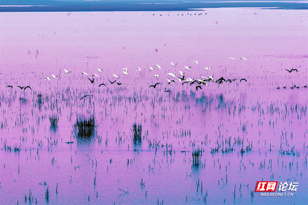 nEO_IMG_微信图片_20251113222046_19_2365.jpg nEO_IMG_微信图片_20251113222046_19_2365.jpg