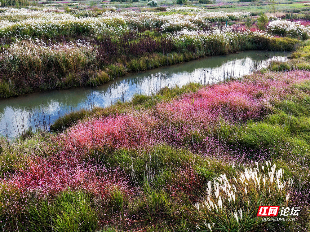 nEO_IMG_微信图片_20251113222103_26_2365.jpg nEO_IMG_微信图片_20251113222103_26_2365.jpg