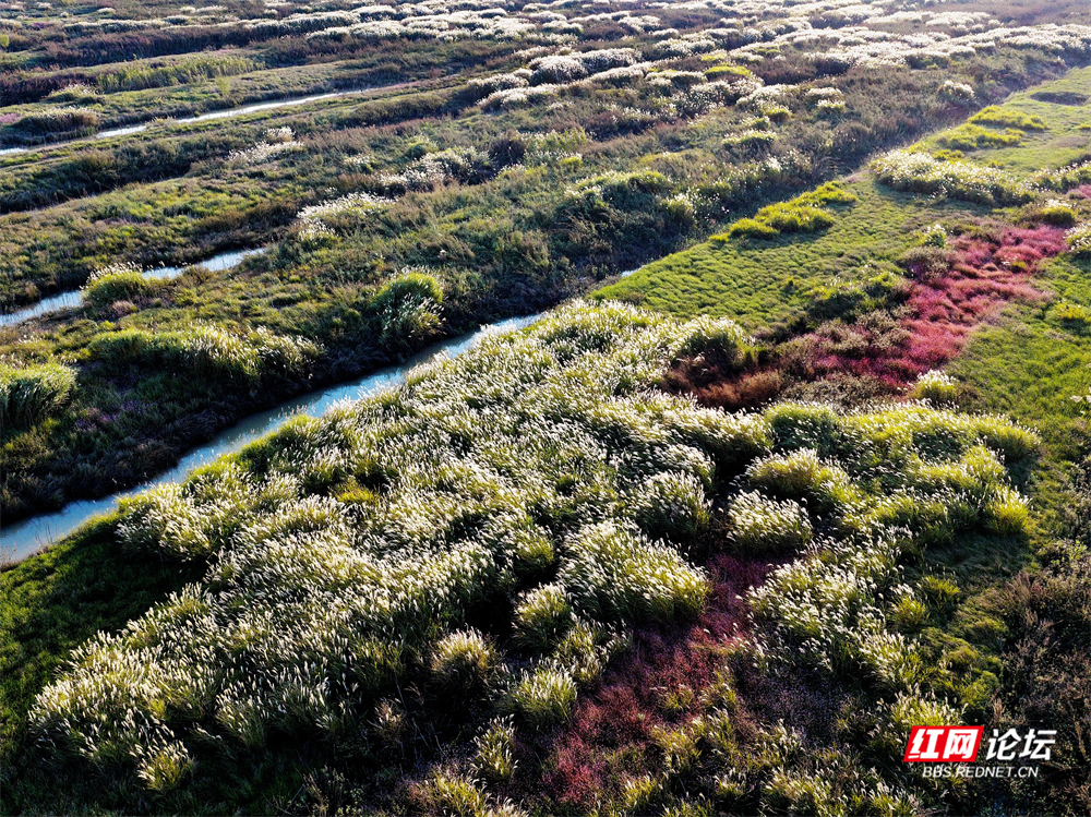 nEO_IMG_微信图片_20251113222055_22_2365.jpg nEO_IMG_微信图片_20251113222055_22_2365.jpg