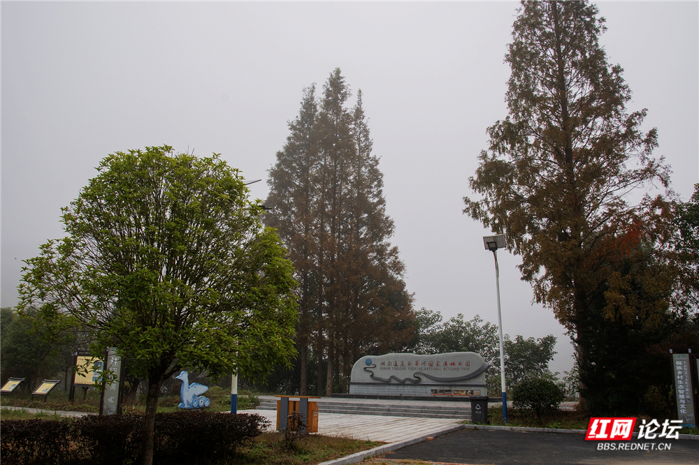 nEO_IMG_微信图片_20251116222948_46_413.jpg nEO_IMG_微信图片_20251116222948_46_413.jpg