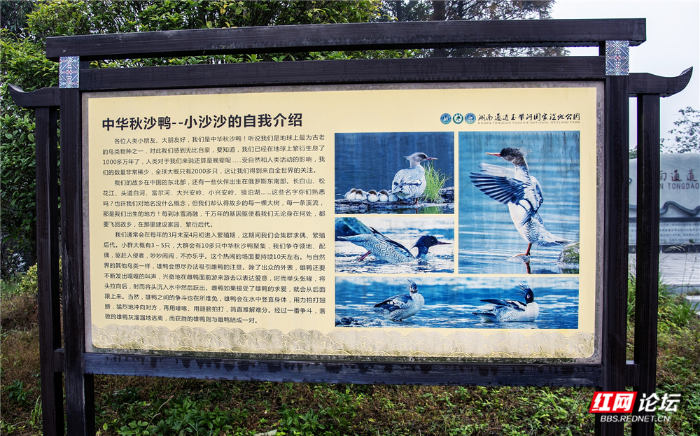 nEO_IMG_微信图片_20251116222939_45_413.jpg nEO_IMG_微信图片_20251116222939_45_413.jpg