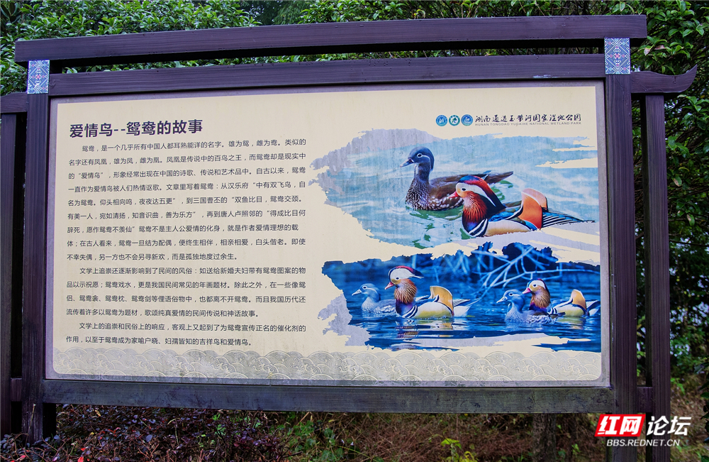 nEO_IMG_微信图片_20251116222957_47_413.jpg nEO_IMG_微信图片_20251116222957_47_413.jpg