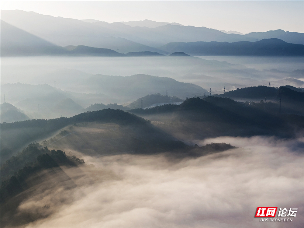 nEO_IMG_微信图片_20251113151820_100_1476 - 副本.jpg