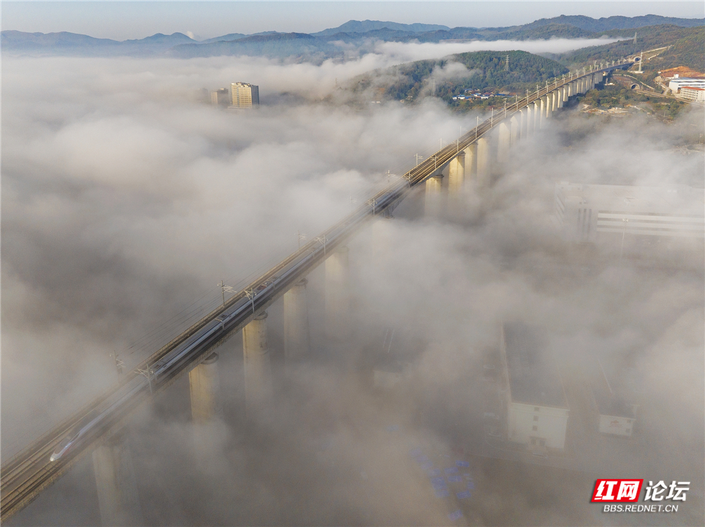 nEO_IMG_微信图片_20251113143400_95_1476 - 副本.jpg