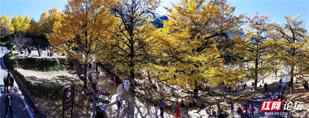 nEO_IMG_DJI_20251126141915_0065_D 拷贝.jpg