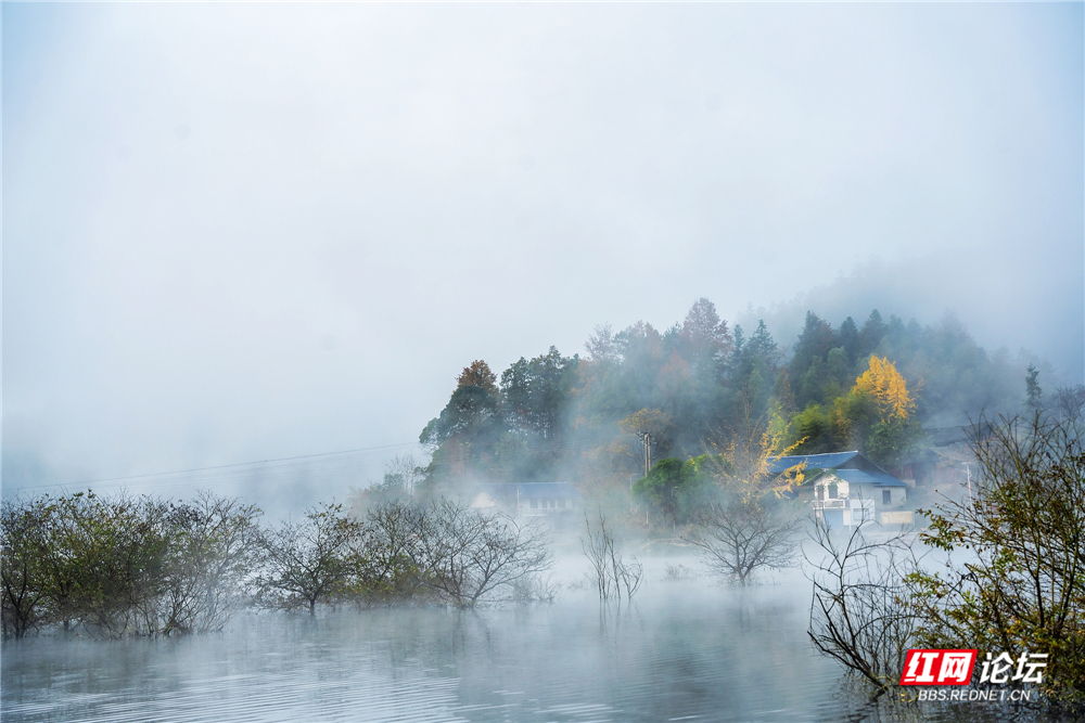 nEO_IMG__DSC0350 拷贝.jpg