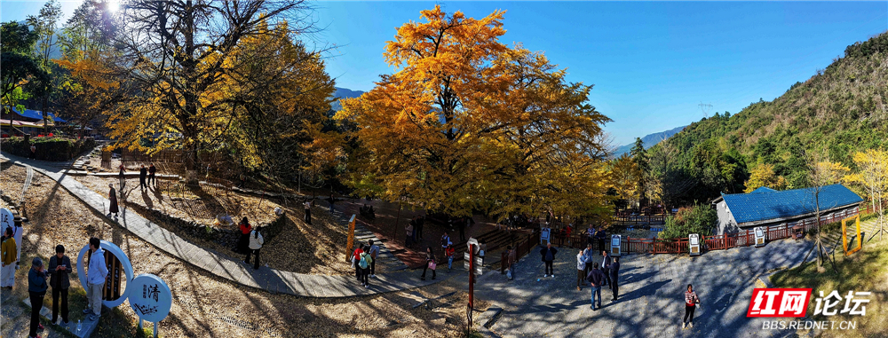 nEO_IMG_DJI_20251126145649_0117_D 拷贝.jpg