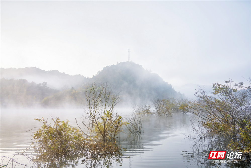 nEO_IMG__DSC0488 拷贝.jpg