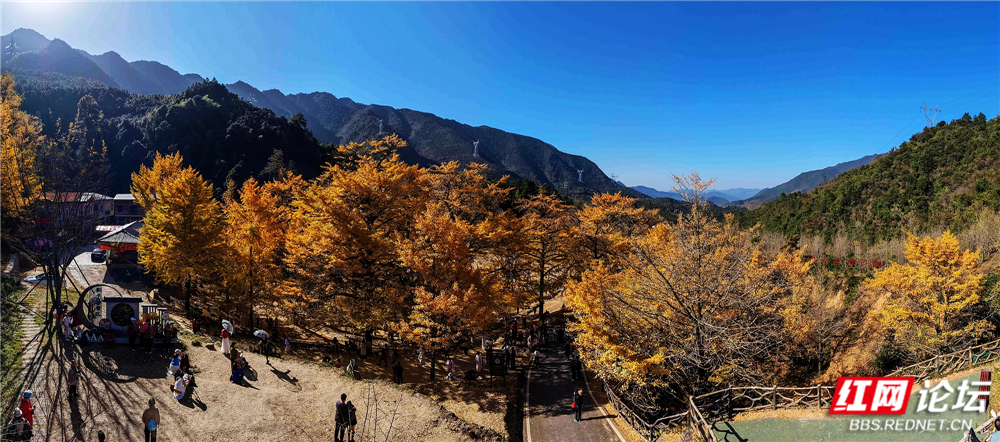 nEO_IMG_DJI_20251126141301_0055_D 拷贝.jpg