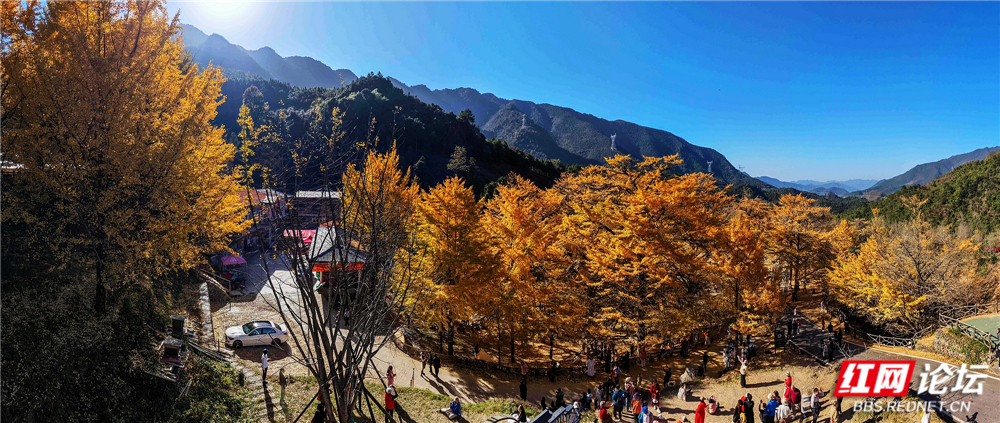 nEO_IMG_DJI_20251126143220_0093_D 拷贝.jpg