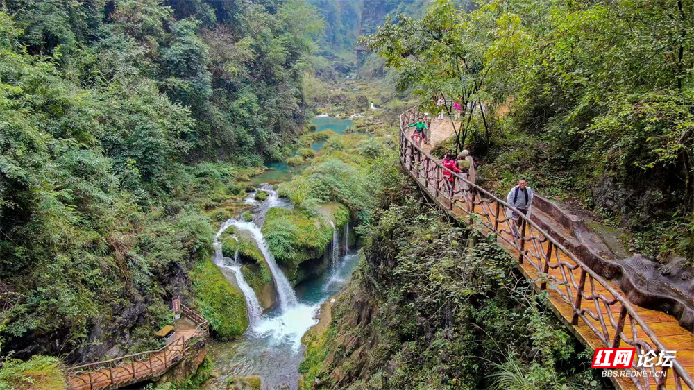 微信图片_20251107185905_131_2464.jpg 微信图片_20251107185905_131_2464.jpg