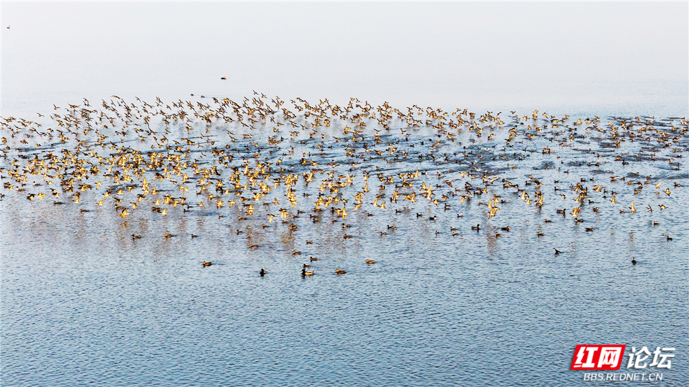 nEO_IMG_DJI_20251214170412_0060_D 拷贝.jpg nEO_IMG_DJI_20251214170412_0060_D 拷贝.jpg