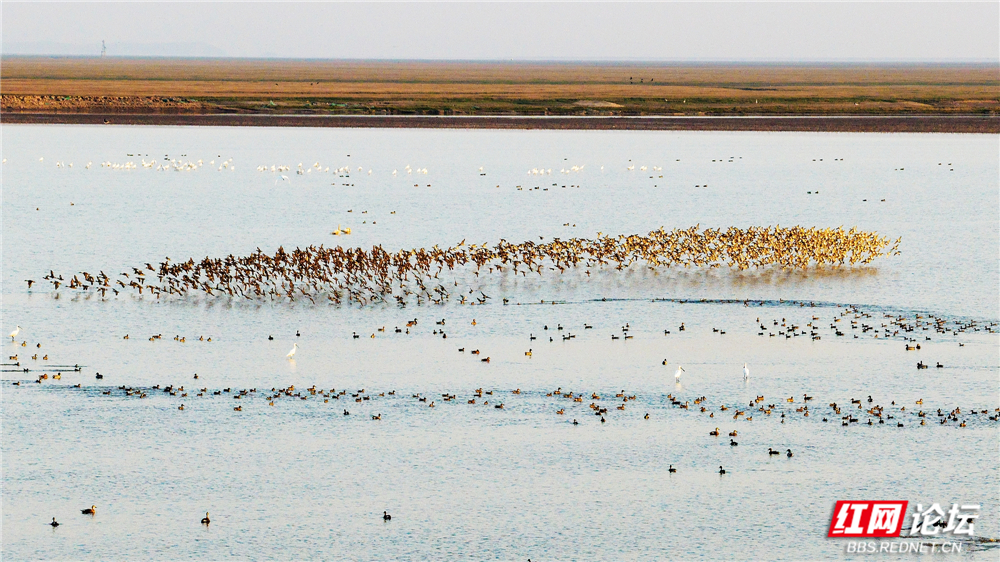 nEO_IMG_DJI_20251214170305_0051_D 拷贝.jpg nEO_IMG_DJI_20251214170305_0051_D 拷贝.jpg