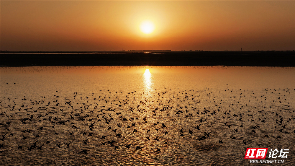 nEO_IMG_DJI_20251214170918_0083_D 拷贝.jpg nEO_IMG_DJI_20251214170918_0083_D 拷贝.jpg