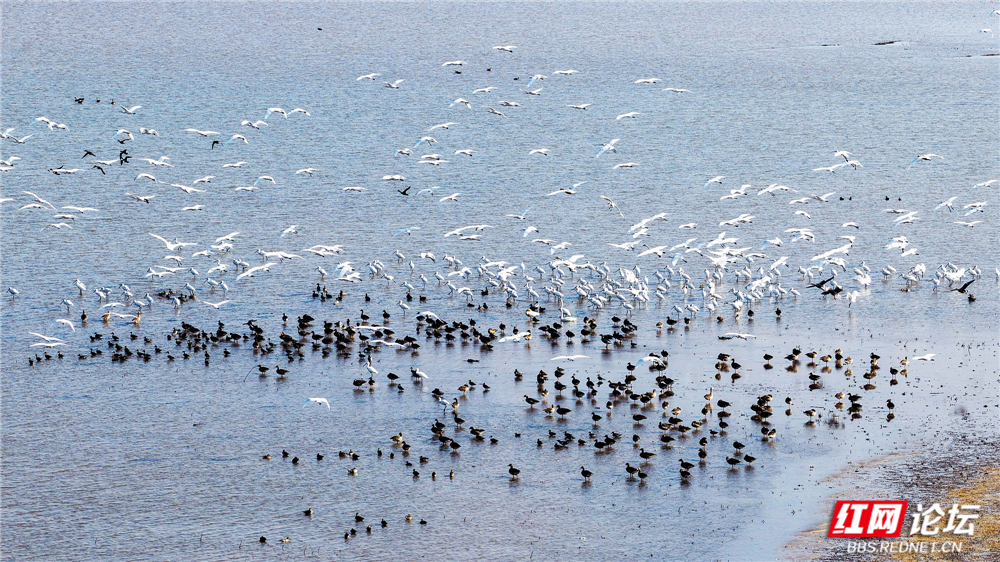 nEO_IMG_DJI_20251213141854_0094_D 拷贝.jpg nEO_IMG_DJI_20251213141854_0094_D 拷贝.jpg