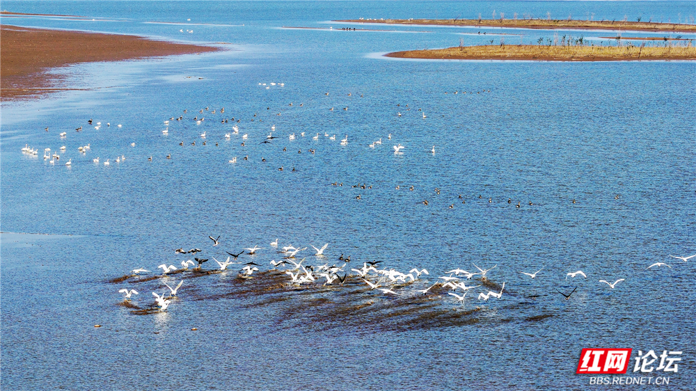 nEO_IMG_DJI_20251213132250_0012_D 拷贝.jpg nEO_IMG_DJI_20251213132250_0012_D 拷贝.jpg