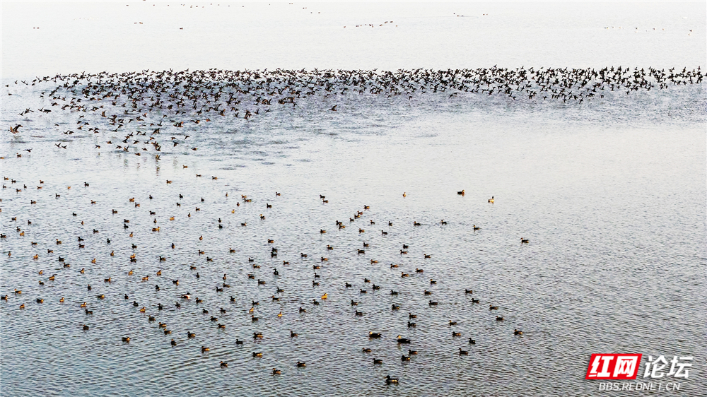 nEO_IMG_DJI_20251214170403_0057_D 拷贝.jpg nEO_IMG_DJI_20251214170403_0057_D 拷贝.jpg