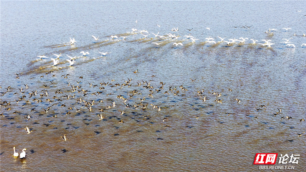 nEO_IMG_DJI_20251213143106_0125_D 拷贝.jpg nEO_IMG_DJI_20251213143106_0125_D 拷贝.jpg