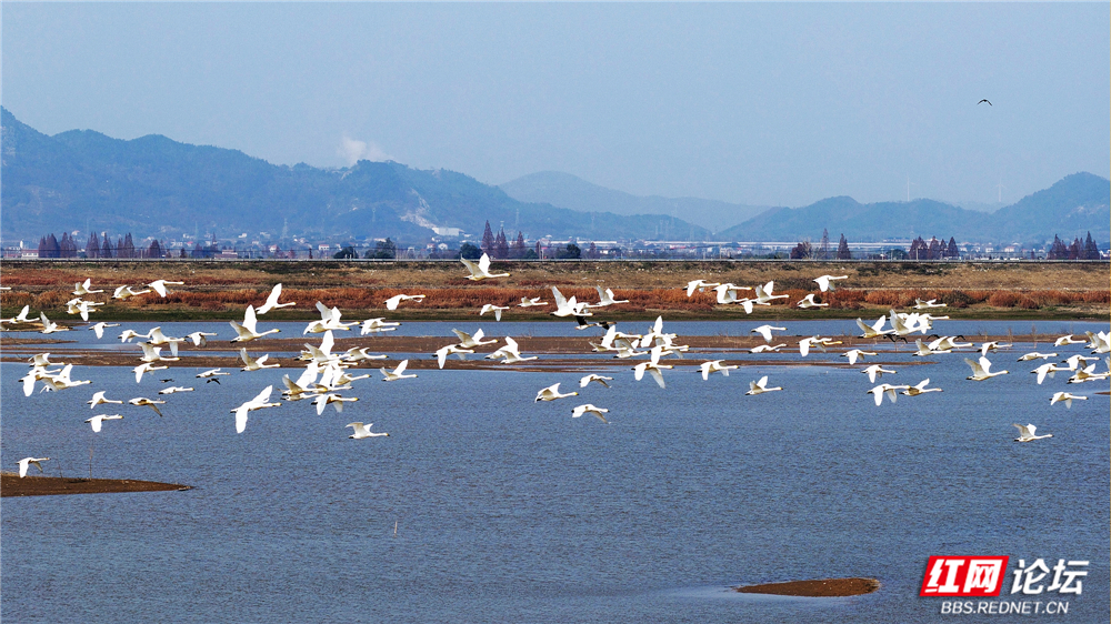 nEO_IMG_DJI_20251213132845_0061_D 拷贝.jpg nEO_IMG_DJI_20251213132845_0061_D 拷贝.jpg