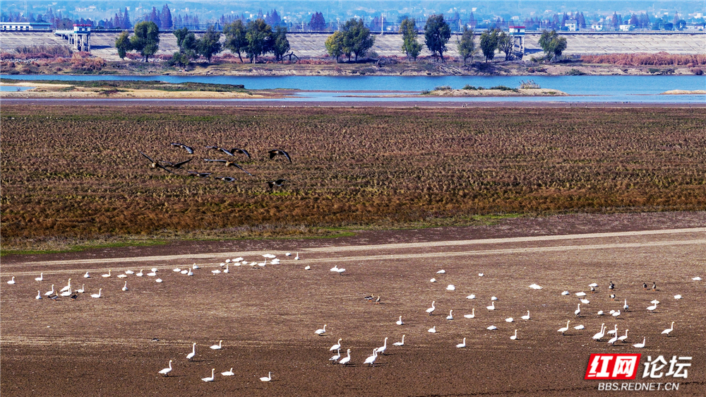 nEO_IMG_DJI_20251213132536_0037_D 拷贝.jpg nEO_IMG_DJI_20251213132536_0037_D 拷贝.jpg