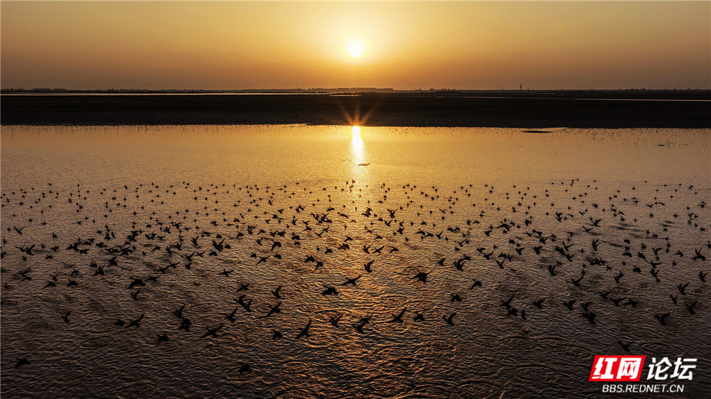 nEO_IMG_DJI_20251214171059_0090_D 拷贝.jpg nEO_IMG_DJI_20251214171059_0090_D 拷贝.jpg