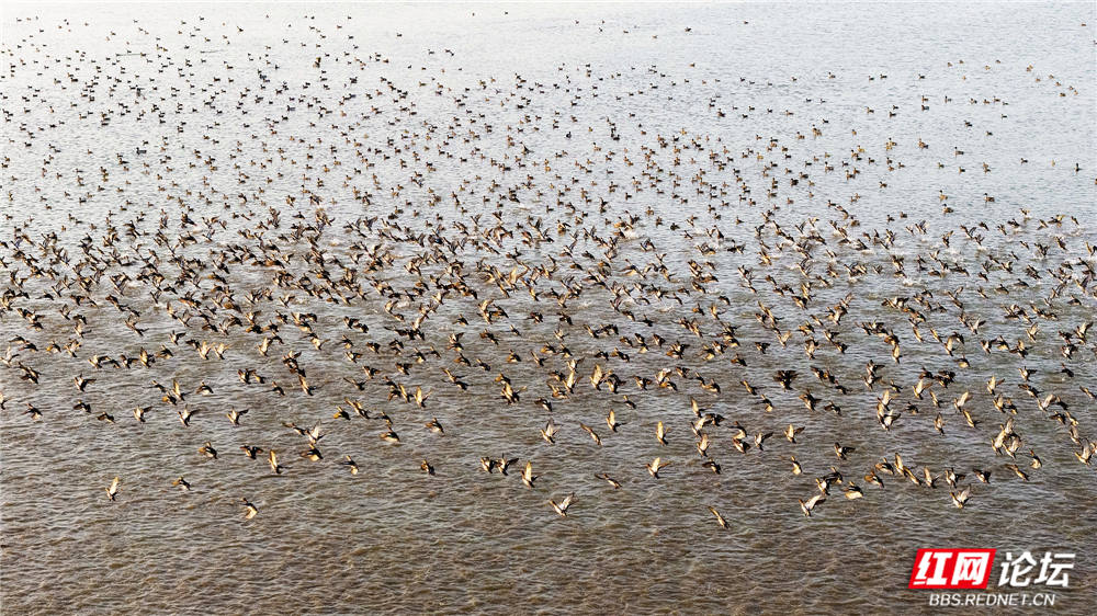 nEO_IMG_DJI_20251214170512_0067_D 拷贝.jpg nEO_IMG_DJI_20251214170512_0067_D 拷贝.jpg