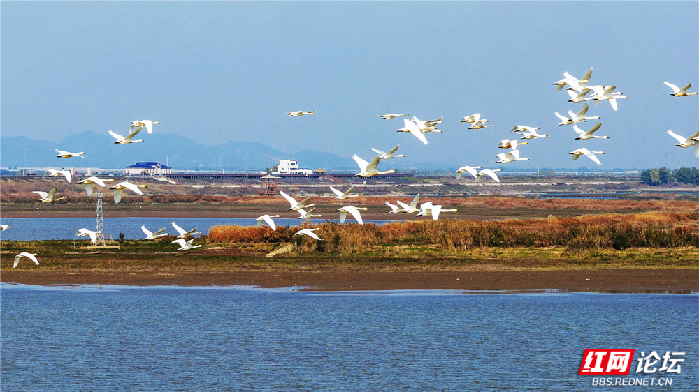 nEO_IMG_DJI_20251213132854_0065_D 拷贝.jpg nEO_IMG_DJI_20251213132854_0065_D 拷贝.jpg