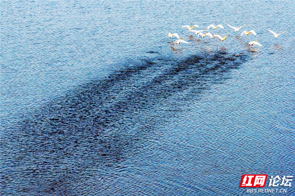 nEO_IMG_DJI_20251214165954_0046_D 拷贝.jpg nEO_IMG_DJI_20251214165954_0046_D 拷贝.jpg