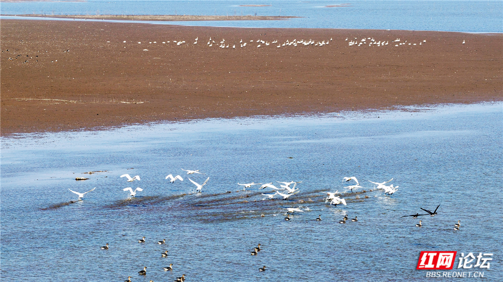 nEO_IMG_DJI_20251213132644_0050_D 拷贝.jpg nEO_IMG_DJI_20251213132644_0050_D 拷贝.jpg