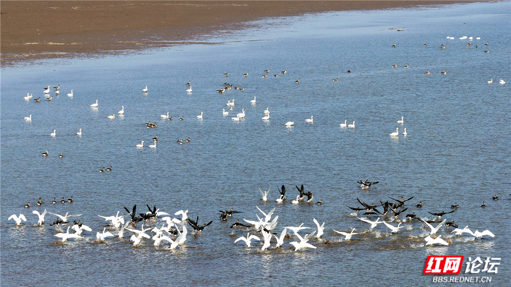 nEO_IMG_DJI_20251213132417_0025_D 拷贝.jpg nEO_IMG_DJI_20251213132417_0025_D 拷贝.jpg