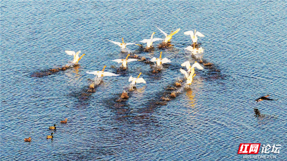 nEO_IMG_DJI_20251214165949_0045_D 拷贝.jpg nEO_IMG_DJI_20251214165949_0045_D 拷贝.jpg