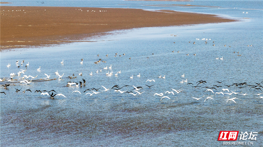 nEO_IMG_DJI_20251213132422_0028_D 拷贝.jpg nEO_IMG_DJI_20251213132422_0028_D 拷贝.jpg