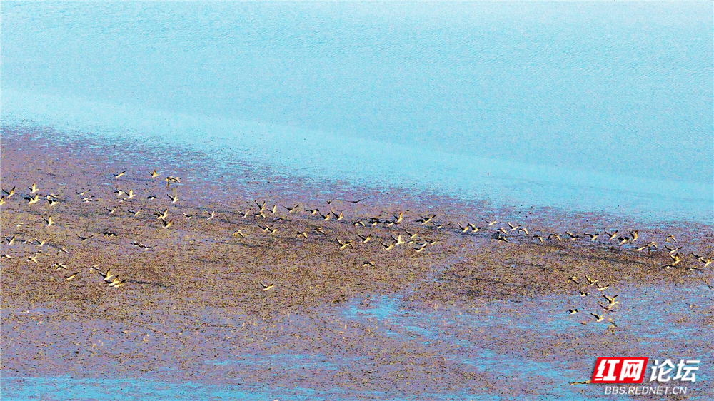 nEO_IMG_DJI_20251214165758_0028_D 拷贝.jpg nEO_IMG_DJI_20251214165758_0028_D 拷贝.jpg