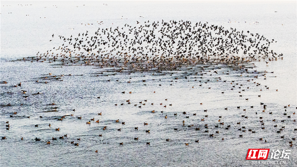 nEO_IMG_DJI_20251214170349_0056_D 拷贝.jpg nEO_IMG_DJI_20251214170349_0056_D 拷贝.jpg