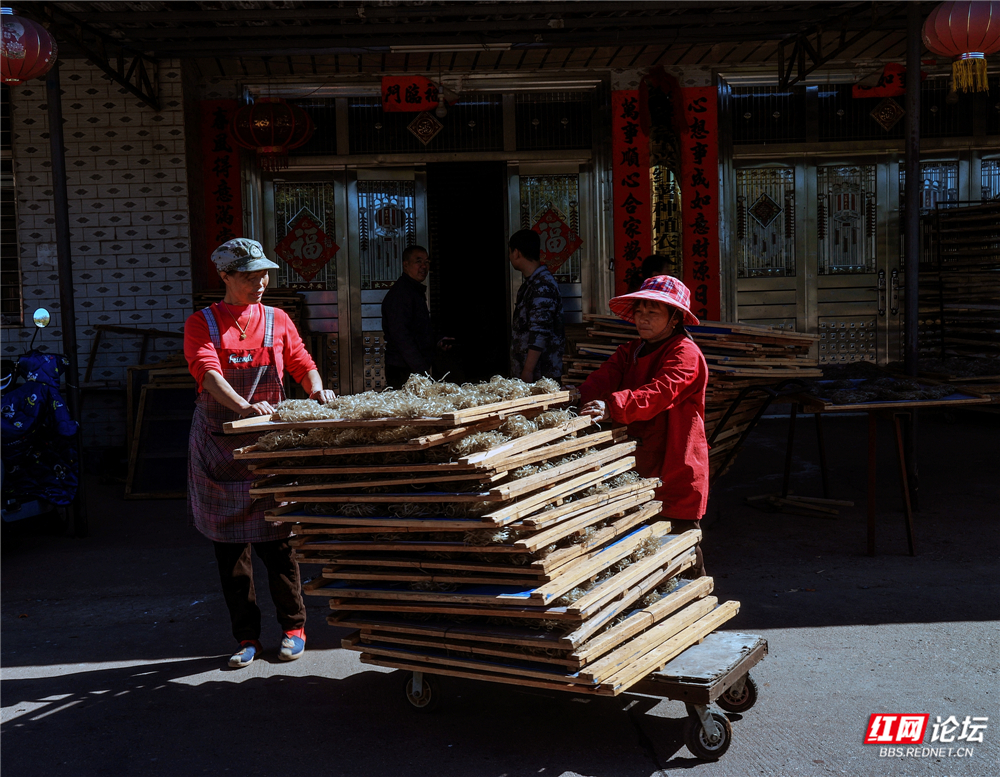 nEO_IMG_DF4A1828.jpg nEO_IMG_DF4A1828.jpg